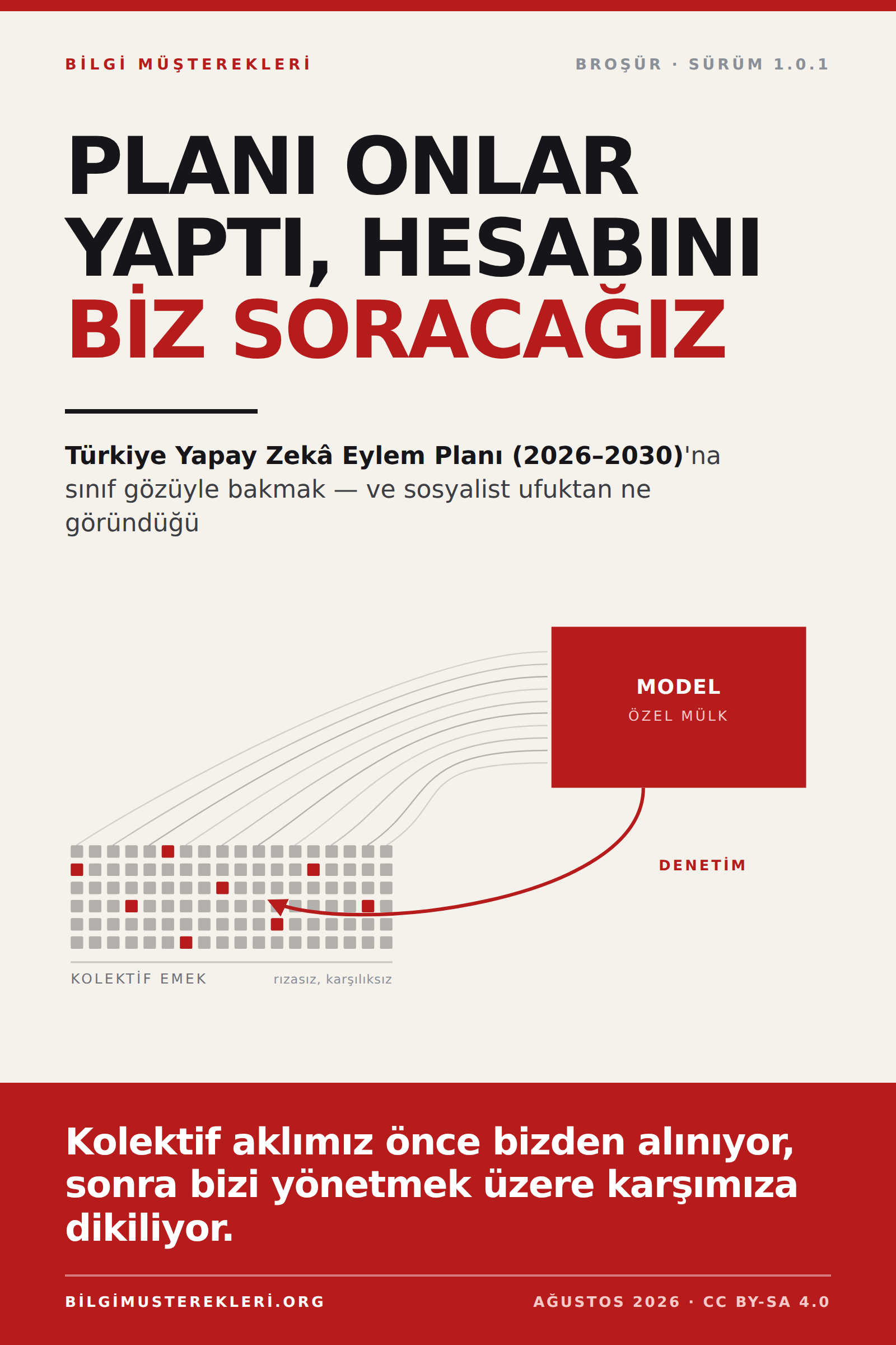 BM Türkiye Yapay Zekâ Eylem Planı broşürü