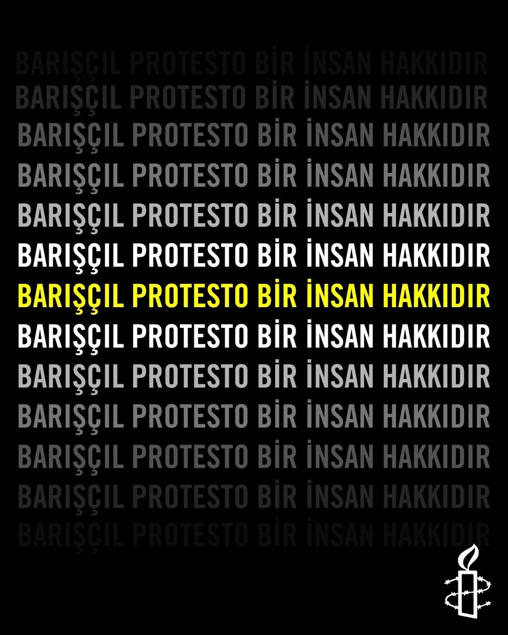 Peaceful Protest Is a Human Right!